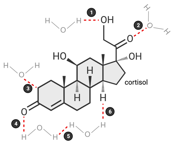<p>Which of these bonds accurately represents a hydrogen bond? &nbsp;Select <strong>all</strong> that apply.&nbsp;</p><ul><li><p><span>a. 1</span></p><p></p></li><li><p><span>b. 2</span></p><p></p></li><li><p><span>c. 3</span></p><p></p></li><li><p><span>d. 4</span></p><p></p></li><li><p><span>e. 5</span></p><p></p></li><li><p><span>f. 6</span></p></li></ul><p></p>