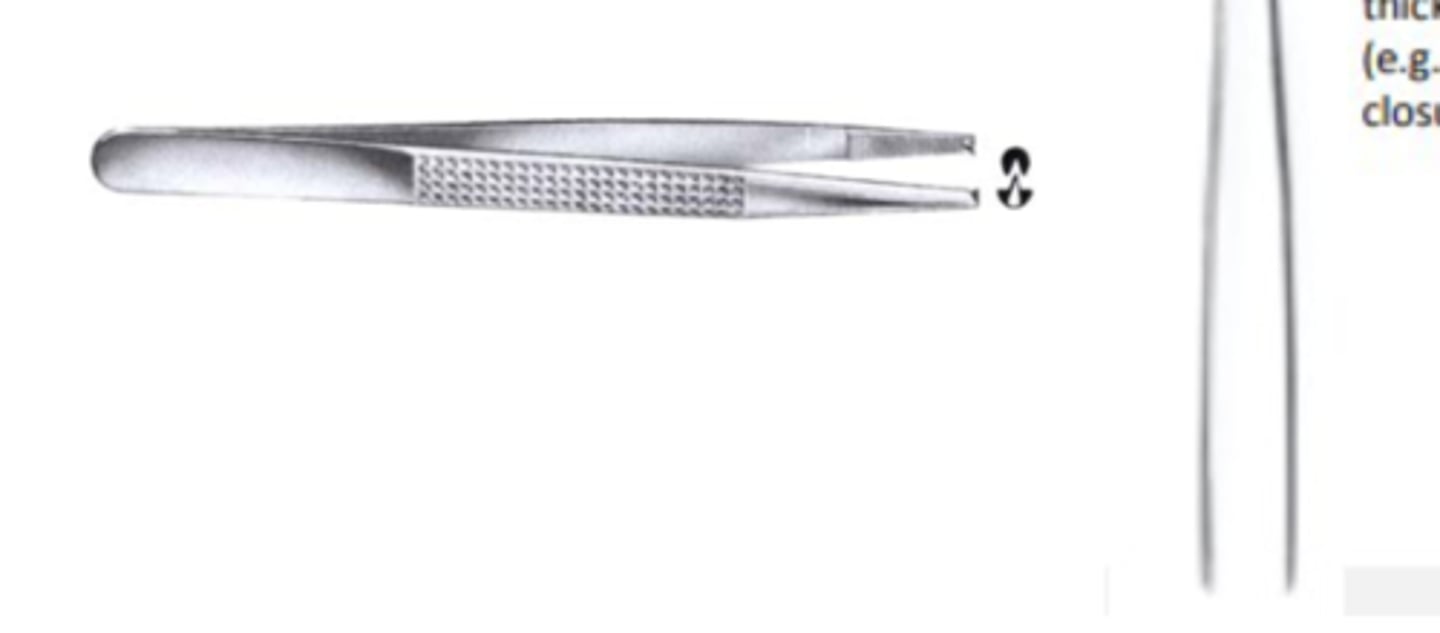 <p>-heavy used for holding thick tissue (fascia)</p>