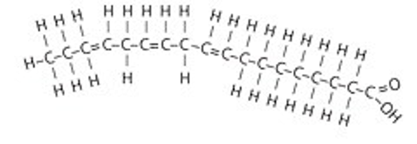<p>two or more double bonds in the carbon chain; usually liquid at room temperature</p>