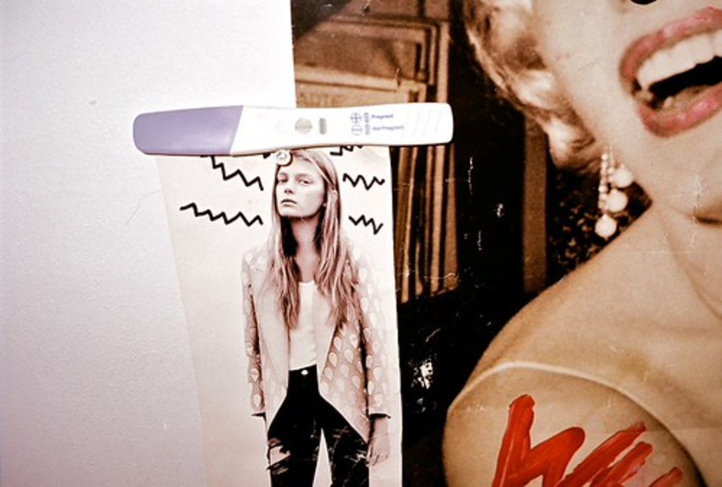 <p>cell with extra chromosome sets</p>