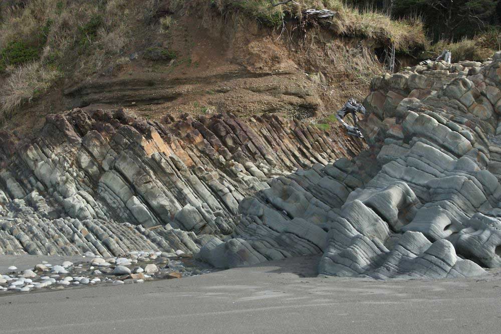 <p>what type of unconformity is this?</p>