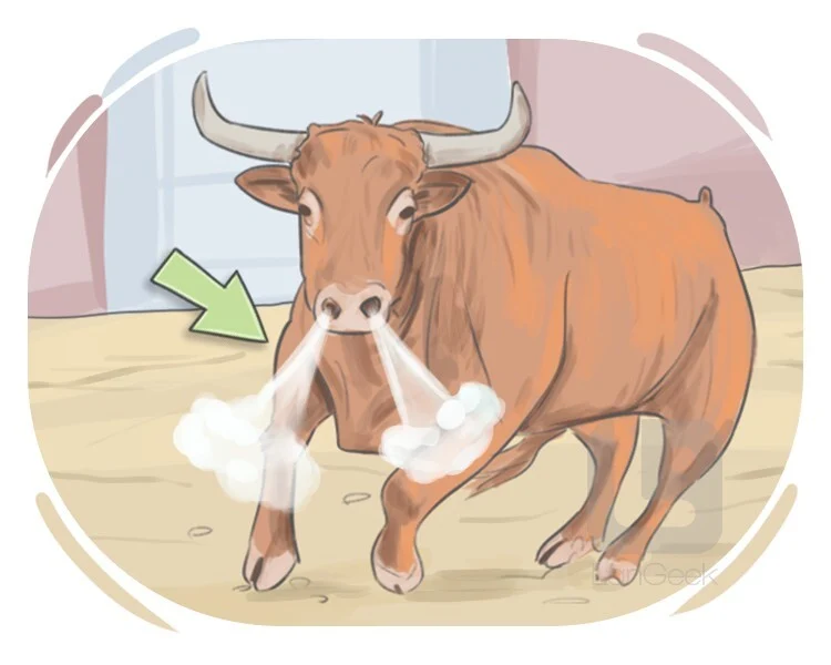 <p>resoplar, gruñir</p><p><span style="color: rgb(247, 247, 247);">_</span></p><p><span><span>to produce a sudden, explosive sound through the nose to show contempt, mockery, or irritation</span></span></p>