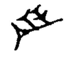 term image