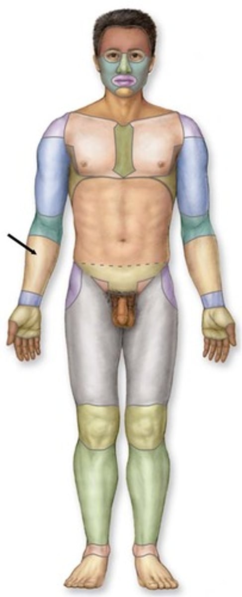knowt flashcard image