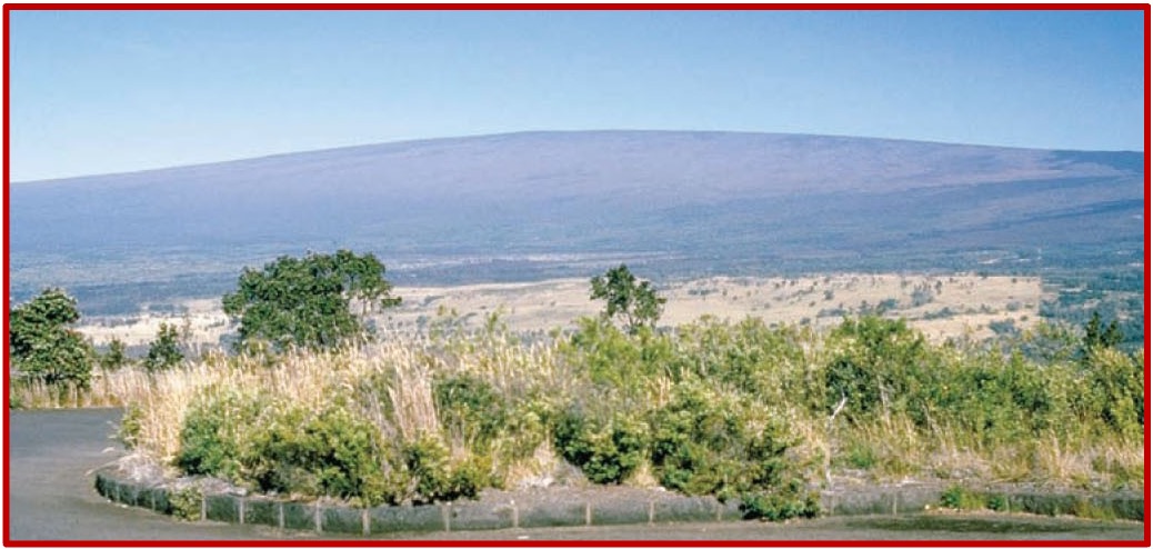 <ul><li><p><span>The </span><strong><span>largest</span></strong><span> volcanoes on Earth</span></p></li><li><p><span>Shaped as </span><strong><span>broad arcs</span></strong><span> (like warrior shields) built from lava</span></p></li><li><p><span>They are associated with </span><strong><mark data-color="red" style="background-color: red; color: inherit;"><span>basaltic magma</span></mark></strong></p><ul><li><p>least violent eruptions</p></li></ul></li><li><p><span>Eruptions consist of </span><mark data-color="red" style="background-color: red; color: inherit;"><span>well-flowing lava (very </span></mark><strong><mark data-color="red" style="background-color: red; color: inherit;"><span>liquid</span></mark></strong><mark data-color="red" style="background-color: red; color: inherit;"><span>)</span></mark></p></li><li><p><span>some eruptions can </span><mark data-color="red" style="background-color: red; color: inherit;"><span>contain </span></mark><strong><em><mark data-color="red" style="background-color: red; color: inherit;"><span>tephra</span></mark><span> —> pyroclastic deposits/rock</span></em></strong></p></li><li><p><span>Common in </span><strong><span>Hawaii</span></strong><span>, Iceland, and around the Indian Ocean</span></p></li></ul><p></p>