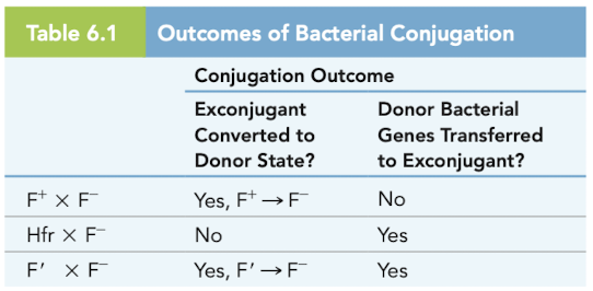 <ul><li><p>Note 2 cases where exconjugant is converted ot donor state </p></li></ul><ul><li><p>2 cases where bacterial genes are transferred to exconjugant </p></li></ul>
