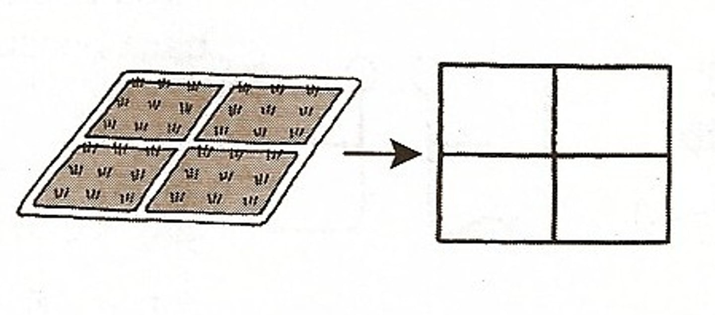 <p>(tián)</p><p>field</p>