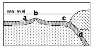 Examine the diagram below that shows a section of Earth's outer layers. Which location contains the oldest rocks that were originally formed at an oceanic ridge?