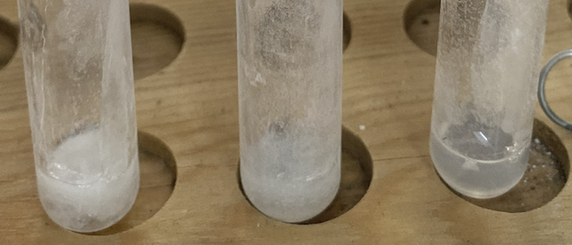 <p>Which test tube exhibits the most coagulation?</p>