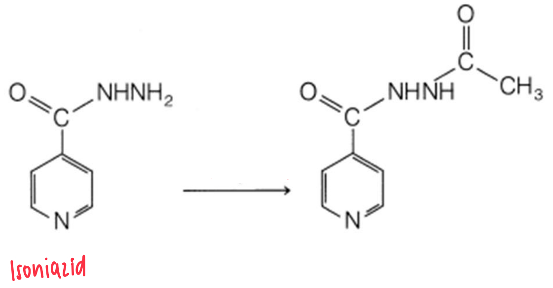 <p>Determine the metabolic reaction</p>
