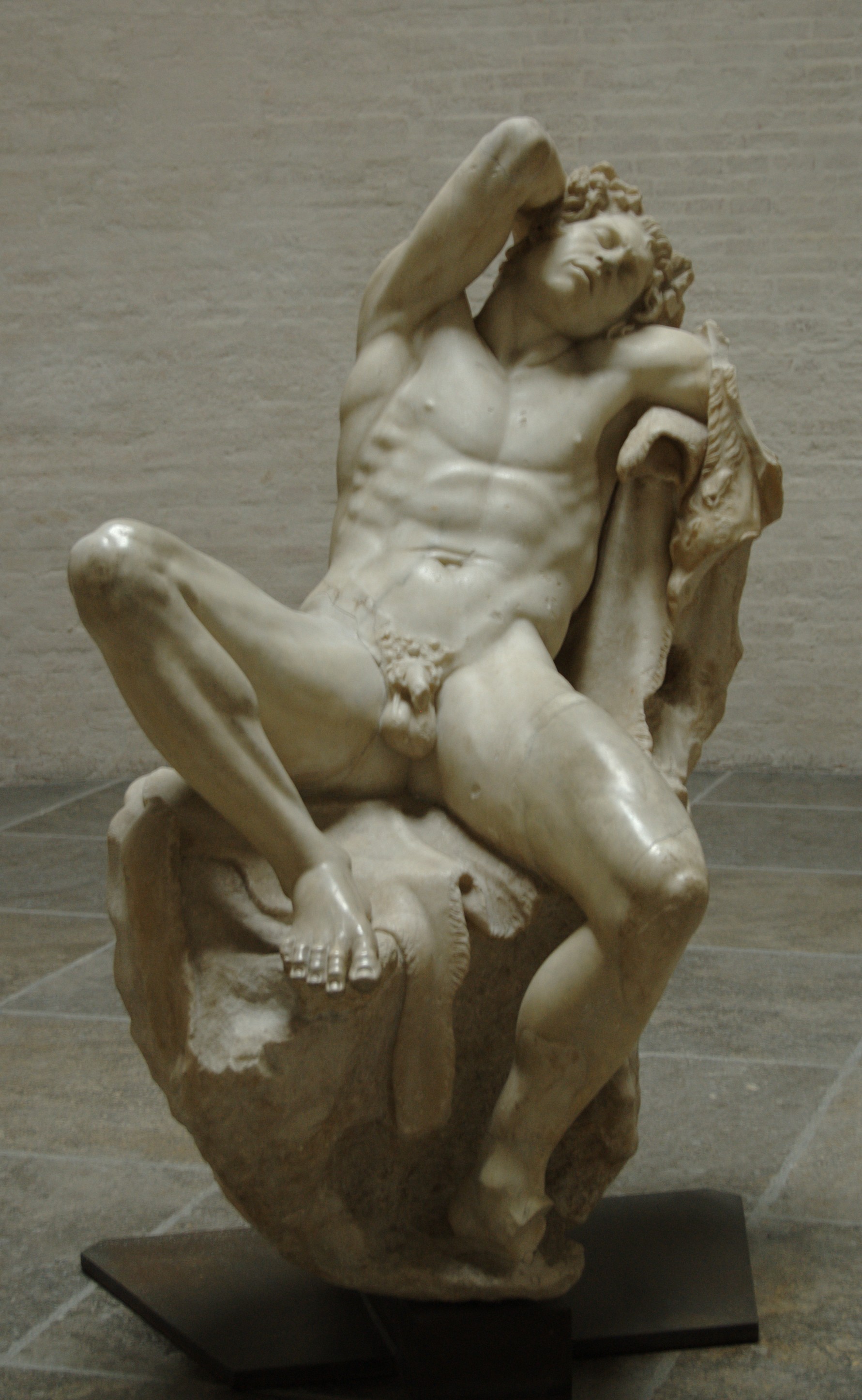term image