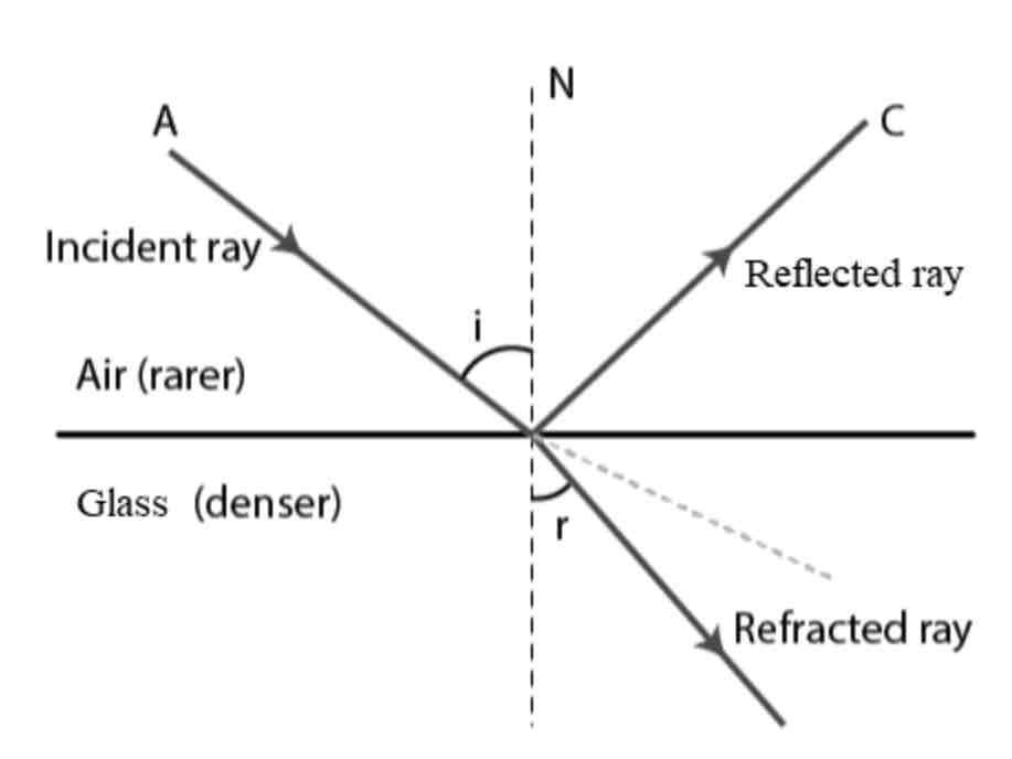 <p>Labels should include: normal (dotted line), incident ray (first line), refracted ray (second line), angle of incidence (first angle), angle of reflection (second angle)</p>