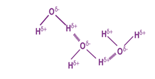 <p>Hydrogen Bonds</p>