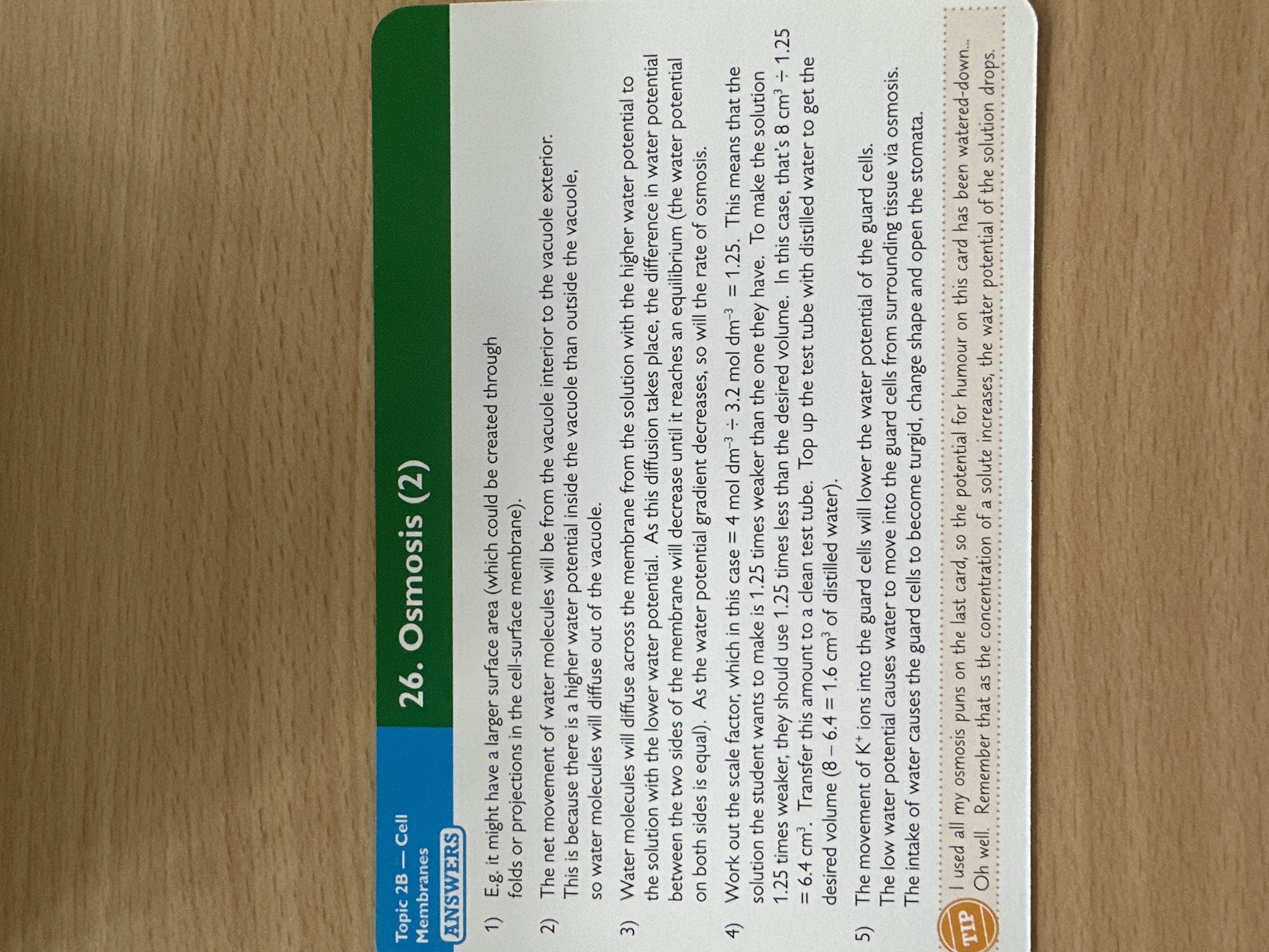 knowt flashcard image