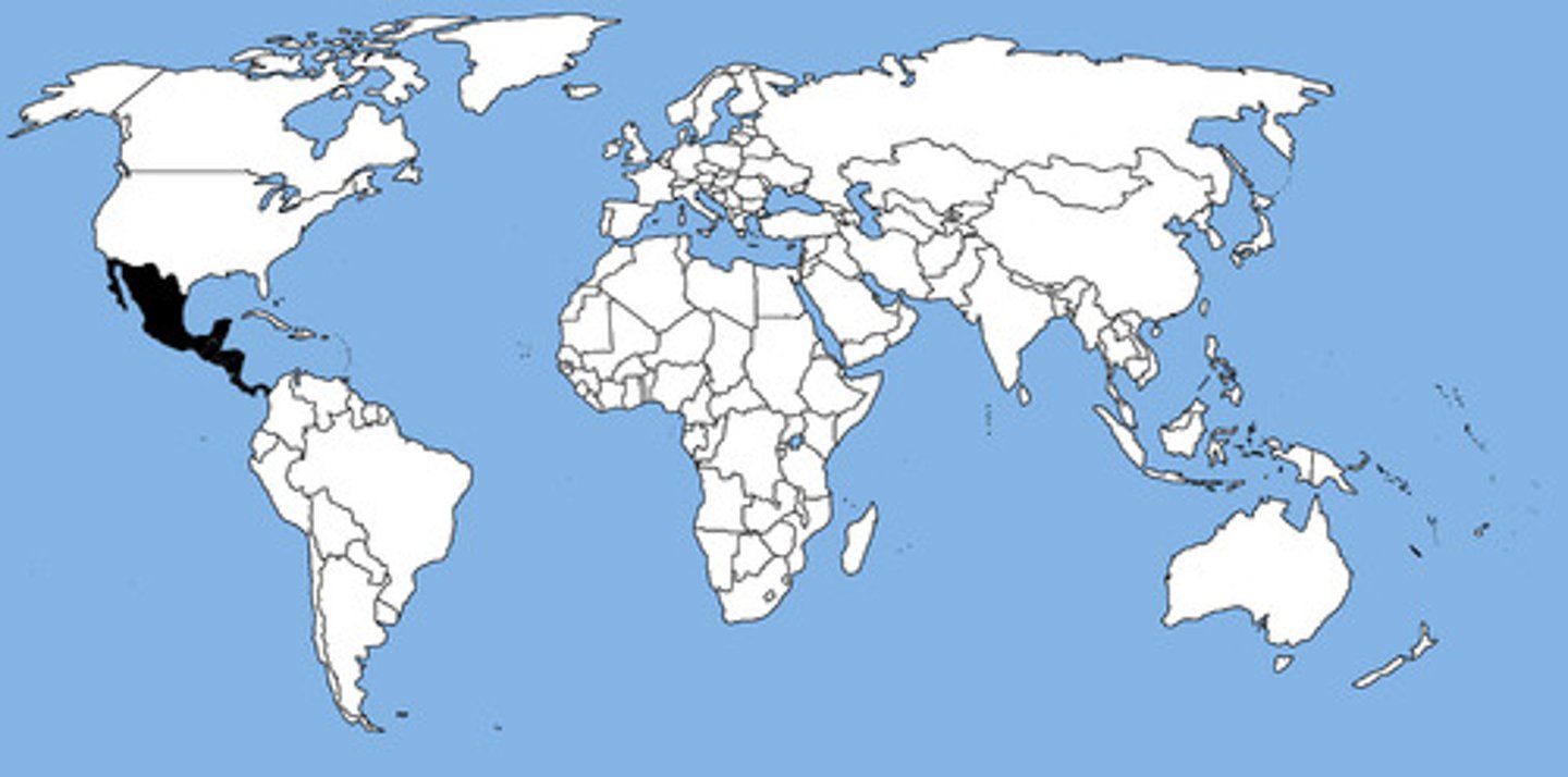 <p>Countries from Mexico south to Panama</p>