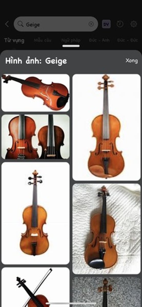 <p>đàn violin</p>