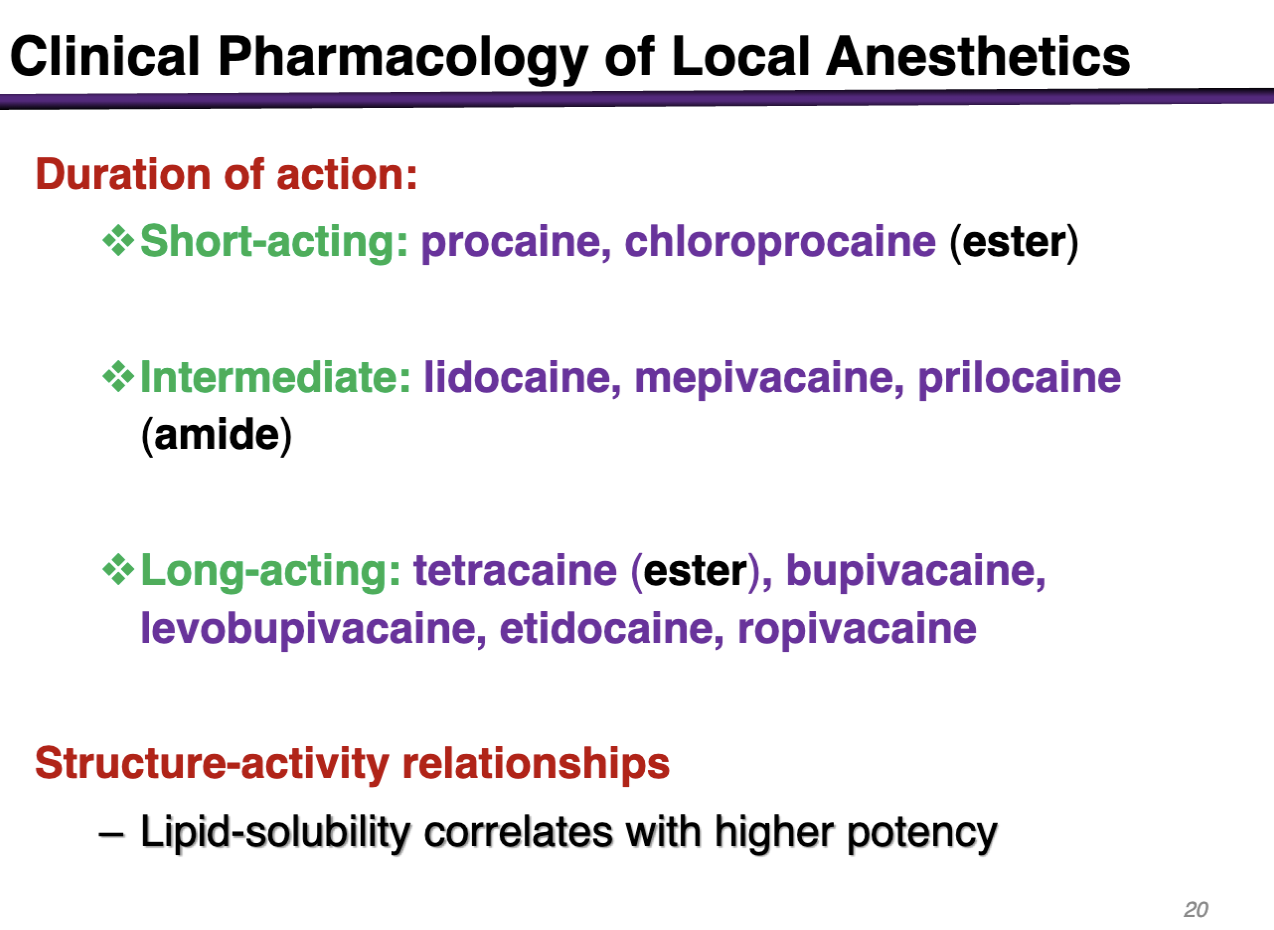 <p>tetracaine (ester), bupivacaine, levobupivacaine, etidocaine, ropivacaine </p>