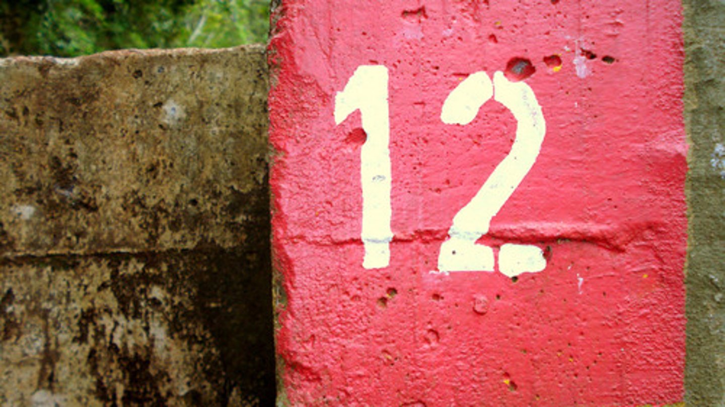 <p>12 (nº chino)</p>