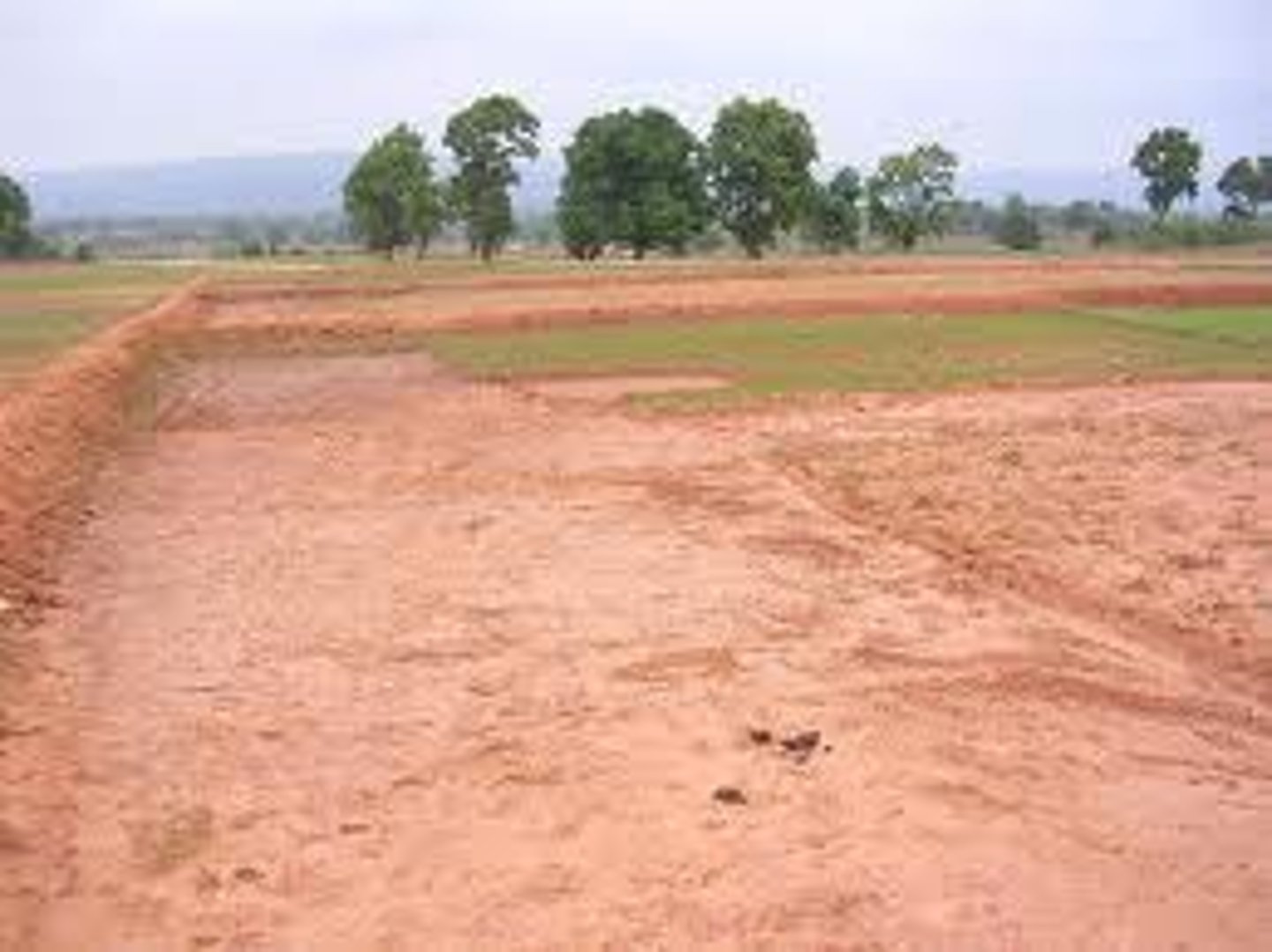 <p>soil, land, earth</p>