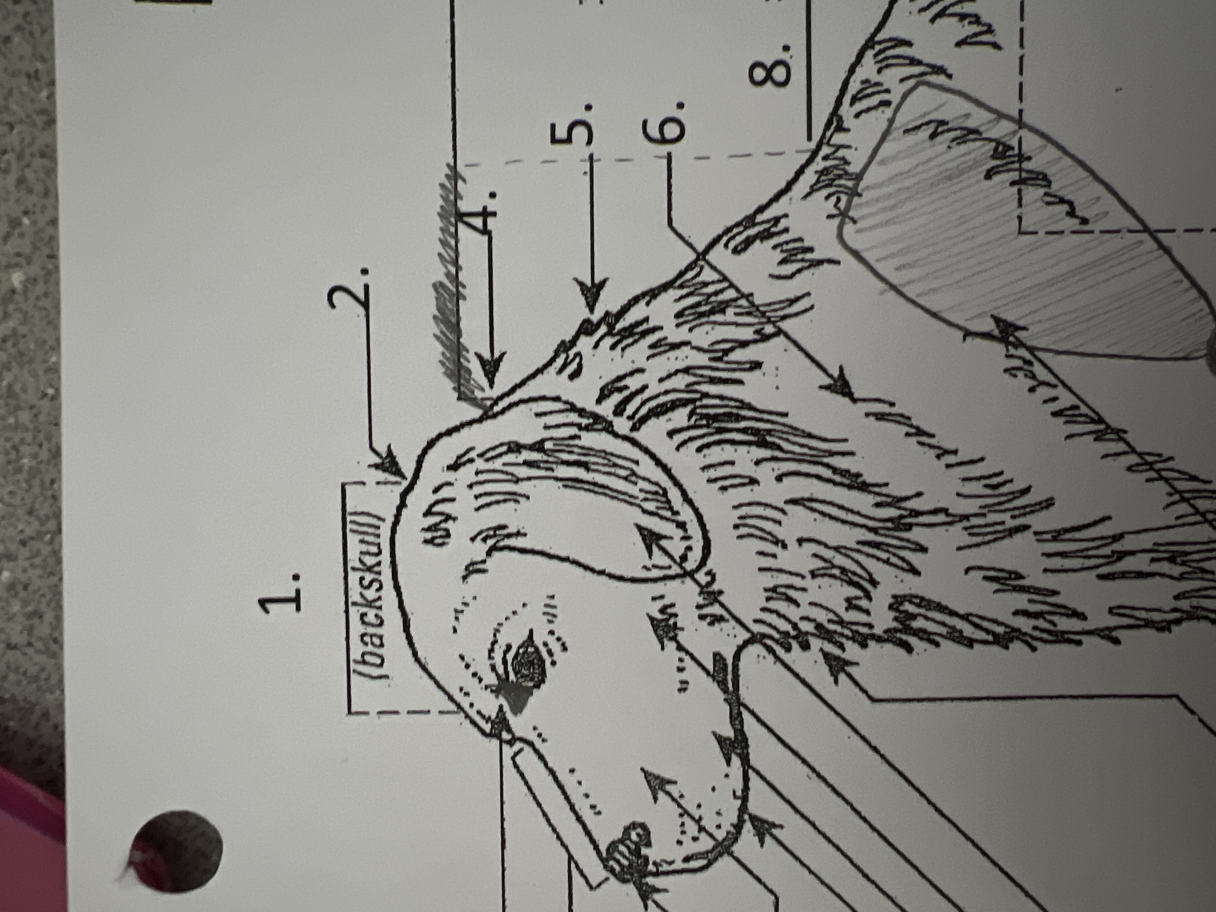 5\.