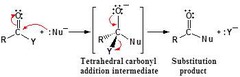 <p>Step 1: Nucleophilic Addition Step 2: Elimination of the leaving group and reformation of the carbonyl.</p>