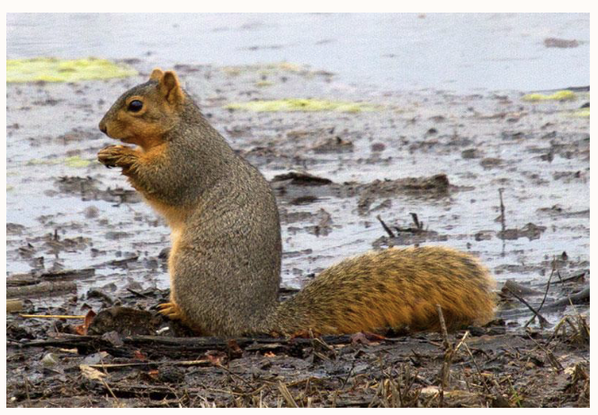 <p>What is this?</p>