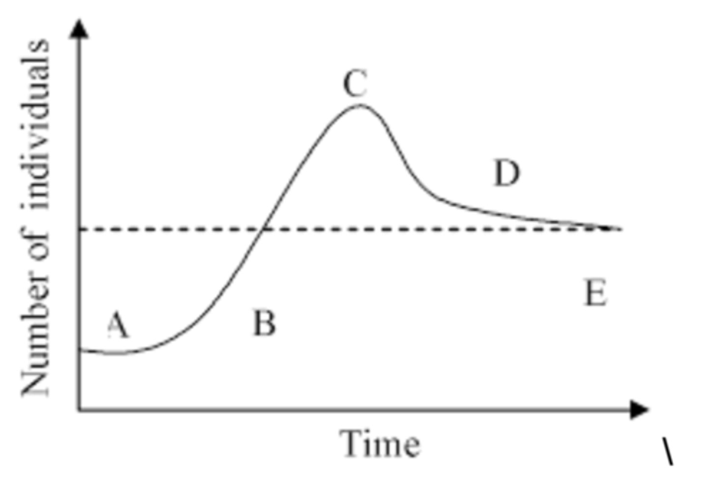 <p>The diagram illustrates how the number of individuals in a population changed with time as a result of external stresses and resource limitations. What portion of the curve most likely corresponds to the carrying capacity of the ecosystem?</p>