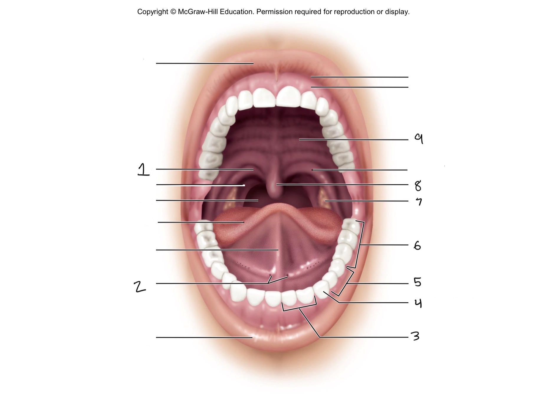 <p>Identify #4</p>