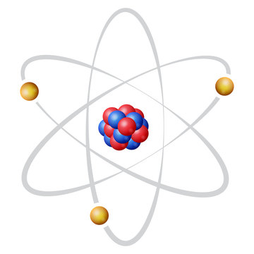 <ul><li><p>nucleus in center </p></li></ul><p></p>