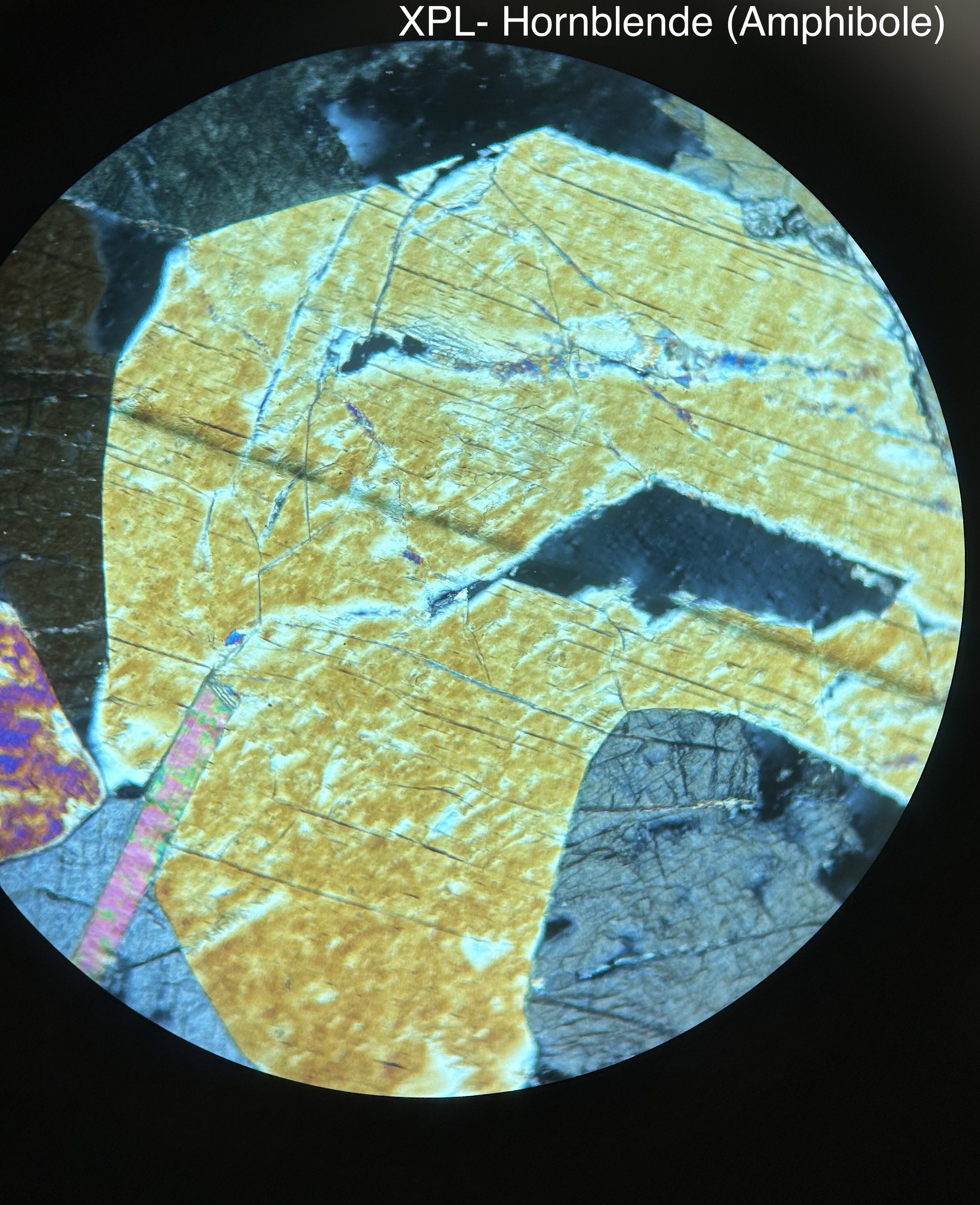 <p>fibrous</p><p>PPL=pleochroism from pale green to almost clear ish green</p><p>clevage</p><p>XPL= yellow to extinction</p>