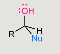 <p>Nucleophile adds to the carbonyl carbon.</p><p>Carbonyl is converted into an alcohol.</p>