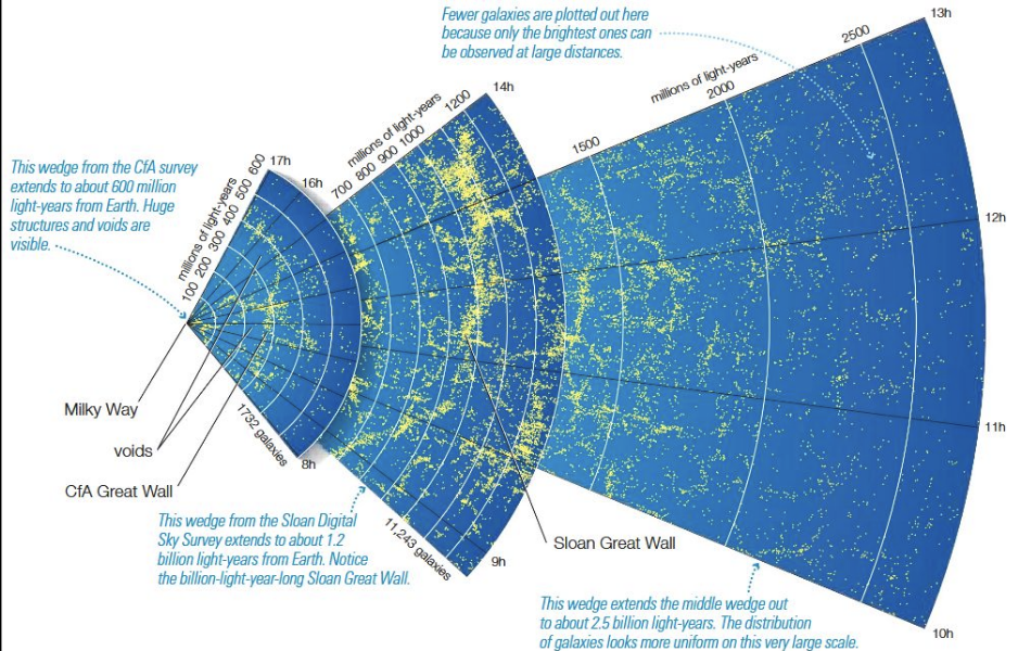 <p>superclusters and voids</p>