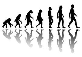 <p>Evolucija</p>