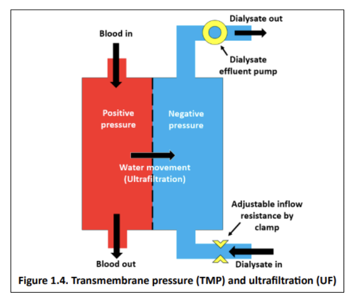 <p>process that removes excess fluid from blood during dialysis, relies on pressure differences across a semipermeable membrane</p><p>fluid moves from higher to lower fluid pressure gradient&nbsp;</p>