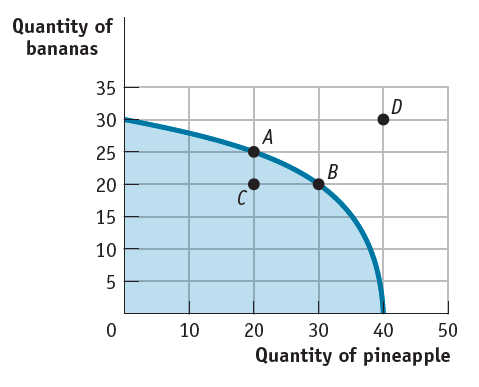 <p>(Figure: Production Possibilities and Circular-Flow Diagram) Assume the two figures represent the same economy. Suppose that in the circular-flow diagram, capital that used to flow to firms producing bananas now flows producing pineapple. This adjustment would be BEST represented in the production possibilities diagram by a move from point A toward:</p><p>(A) point D (an outward shift of the entire curve)</p><p>(B) point C (a decrease in banana production)</p><p>(C) point A (no movement)</p><p>(D) point B (a decrease in banana production and an increase in pineapple production</p>