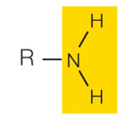 state the name and polarity of this functional group