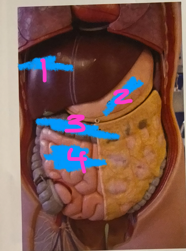 <p>4</p>
