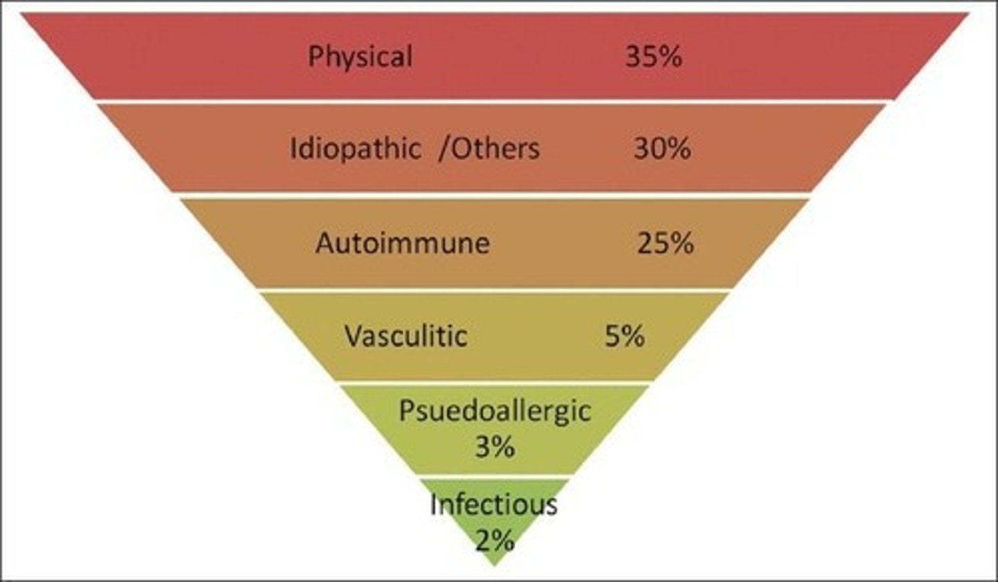 <p>Includes Physical Urticaria, Autoimmune, Infections, Idiopathic, Vasculitic, and Pseudoallergic.</p>