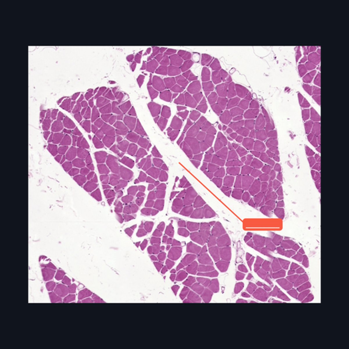 <p>Identify the structure</p>