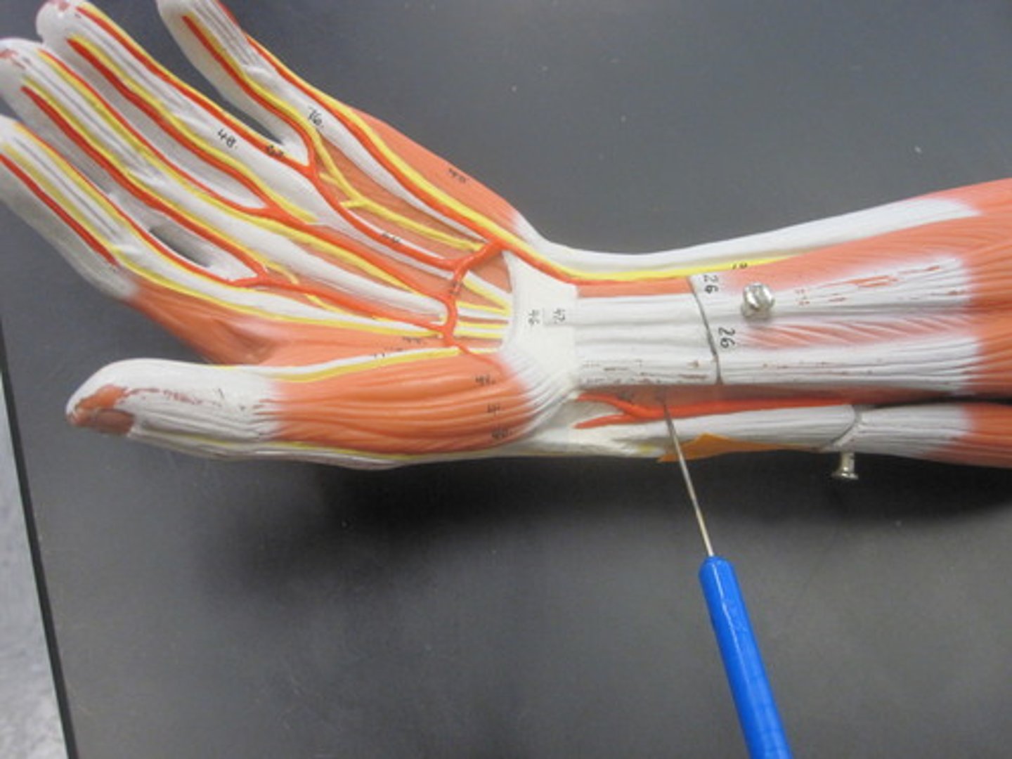 knowt flashcard image