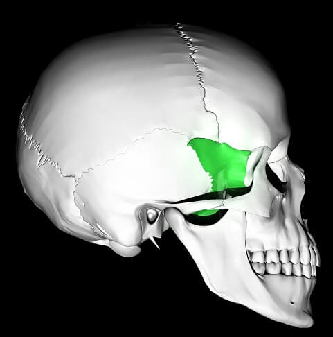 <p>What bone is this?</p>