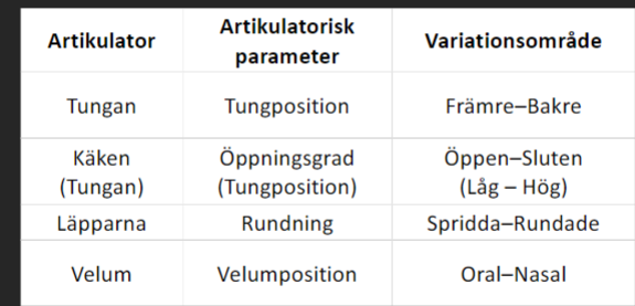 <ul><li><p>tungposition - är tungan främre, central eller bakre?</p></li><li><p>Öppningsgrad - hur öppen är munnen? Helt öppen, halvöppen, halvsluten eller sluten?</p></li><li><p>Rundning - är läpparna rundade eller orundade?</p></li><li><p>Velmumposition - är det oral eller nasal?<br></p></li></ul>