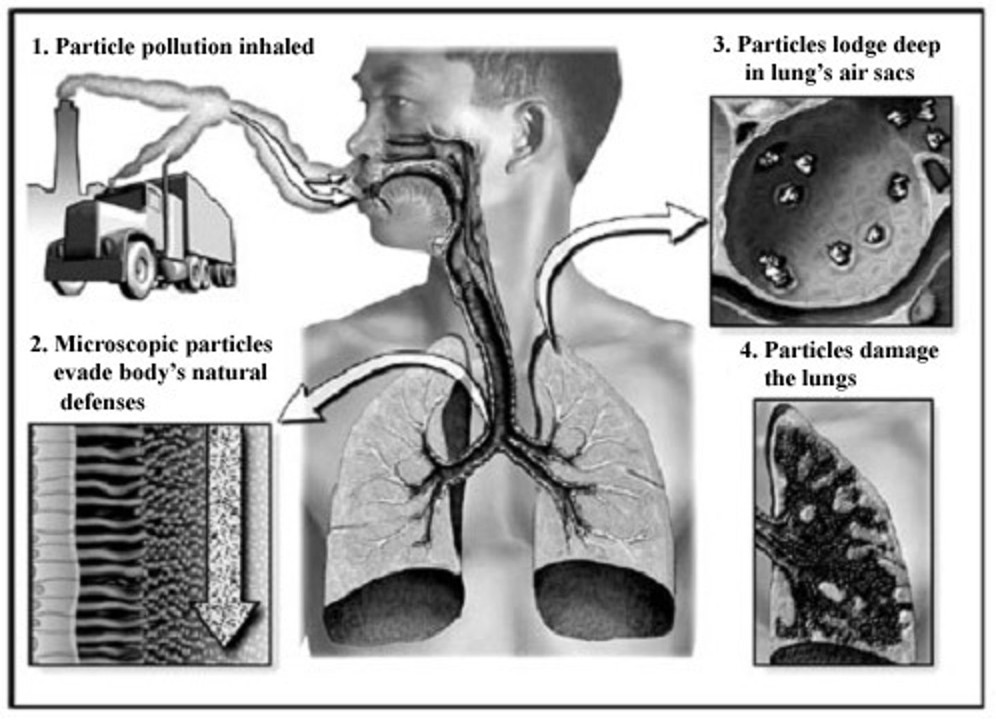 <p>a small discrete mass of solid or liquid matter that remains individually dispersed in gas or liquid emissions (usually considered to be an atmospheric pollutant)</p>