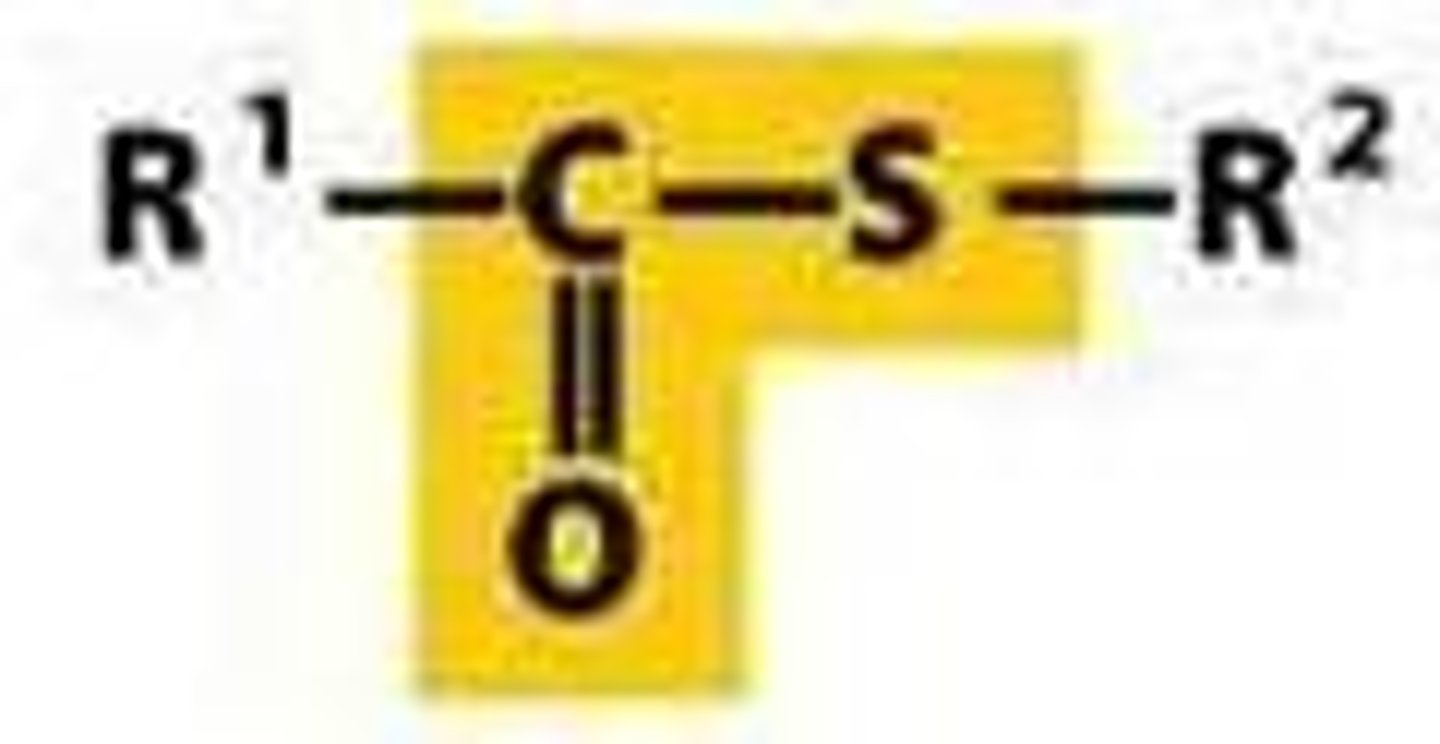<p>-a carbonyl group bonded to a sulfur with R groups on either side</p>