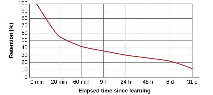 <ul><li><p><span>Analyzed the process of memorization</span></p></li><li><p><span>Memorized lists of nonsense syllables</span></p></li><li><p><span>Due to storage decay, an average person will lose 50% of the memorized information after 20 minutes and 70% of the information after 24 hours</span></p></li><li><p><span>Your memory for new information decays quickly and then eventually levels out</span></p></li></ul><p></p>