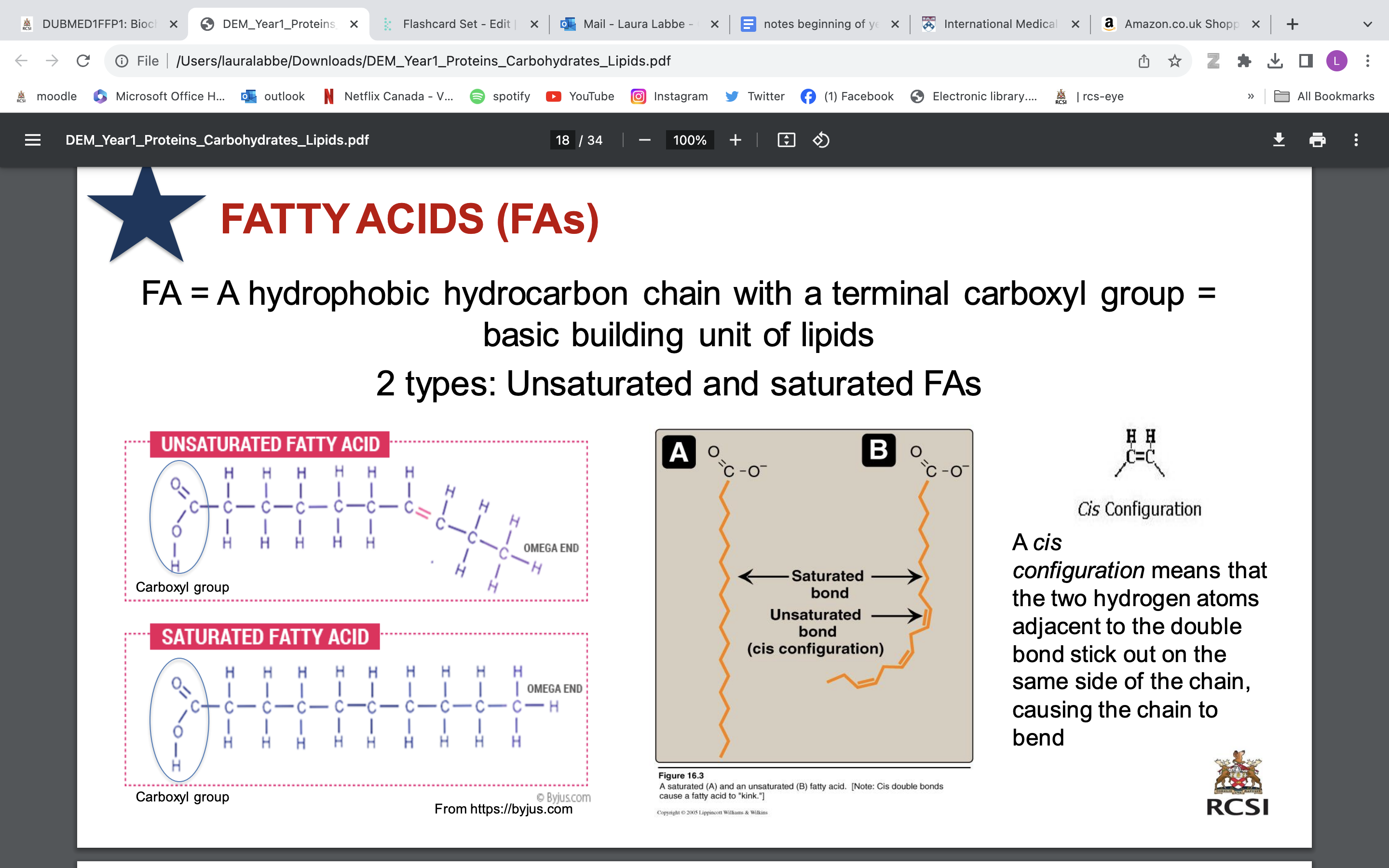 <ul><li><p>FA = A hydrophobic hydrocarbon chain with a terminal carboxyl group = basic building unit of lipids</p></li><li><p>2 types: Unsaturated (double bonds) and saturated (no double bond) FAs</p><p> </p></li></ul>