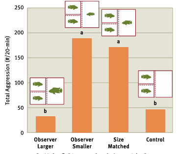 <p>What’s the main message?</p>