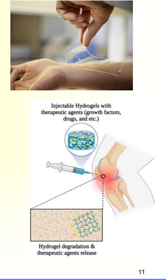 <p>• Biocompatible and blood compatible biomaterials </p><p>    – PVA, Polyacrylamide, PHEMA, PEG </p><p>• Wound healing adhesive </p><p>• Cartilage </p><p>• Skin </p><p>• Nerve repair </p><p>• Carrier for cell transplantation </p><p>• Pharmaceutical</p>