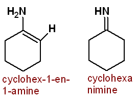 Example cyclohex-1-en-1-amine and cyclohexanimine