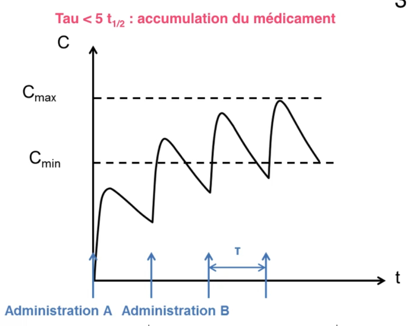 <p>De la frĂ©quence dâadministration (â plus les doses sont rapprochĂ©es, plus lâaccumulation est importante) et du rapport entre lâintervalle dâadministration Ï et la demi-vie du mĂ©dicament (plus Ï est petit par rapport Ă la demi-vie, plus lâaccumulation est forte)</p>
